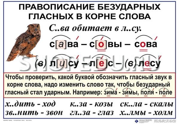 Здравствуйте безударная гласная. Правописание безударных гласных в корне. Безударная гласная в корне памятка. Памятка безударные гласные. Правописание безударных гласных правило.