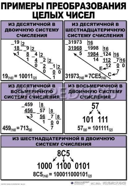Примеры систем информатика 10 класс. Преобразование чисел примеры. Плакат системы счисления. Примеры по информатике. Система счисления в информатике примеры.