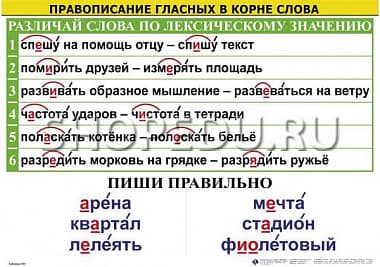 Правописание гласных в корне слова Издательство ОБРАЗОВАНИЕ