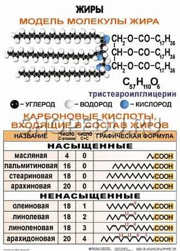 ОРГАНИЧЕСКАЯ ХИМИЯ. 10-11 класс Издательство ОБРАЗОВАНИЕ