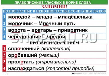 Правописание гласных в корне слова Издательство ОБРАЗОВАНИЕ