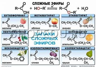 ОРГАНИЧЕСКАЯ ХИМИЯ. 10-11 класс Издательство ОБРАЗОВАНИЕ