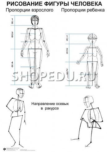 ИЗО Комплект таблиц для уроков рисования Издательство ОБРАЗОВАНИЕ