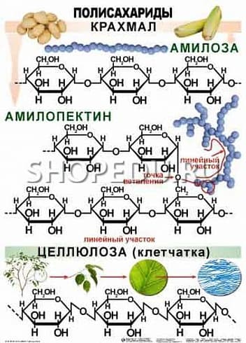 ОРГАНИЧЕСКАЯ ХИМИЯ. 10-11 класс Издательство ОБРАЗОВАНИЕ