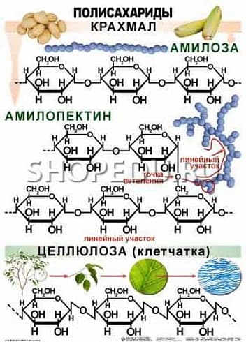 ОРГАНИЧЕСКАЯ ХИМИЯ. 10-11 класс Издательство ОБРАЗОВАНИЕ