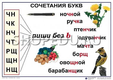 РУССКИЙ ЯЗЫК 1 класс Издательство ОБРАЗОВАНИЕ