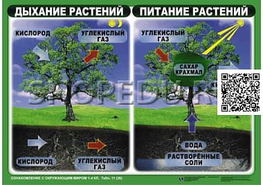 ОЗНАКОМЛЕНИЕ С ОКРУЖАЮЩИМ МИРОМ 1-4 класс Издательство ОБРАЗОВАНИЕ