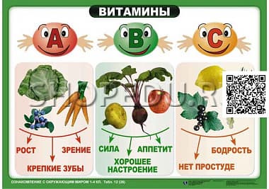 ОЗНАКОМЛЕНИЕ С ОКРУЖАЮЩИМ МИРОМ 1-4 класс Издательство ОБРАЗОВАНИЕ