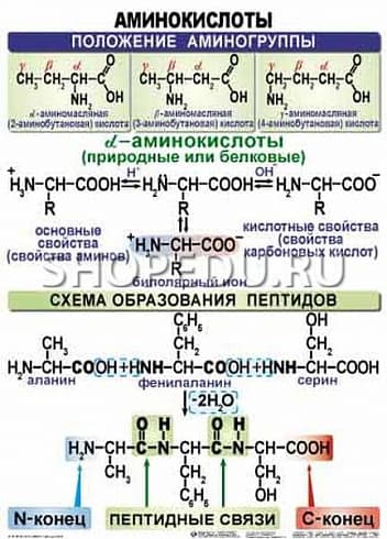 ОРГАНИЧЕСКАЯ ХИМИЯ. 10-11 класс Издательство ОБРАЗОВАНИЕ