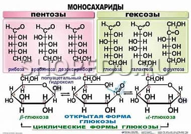 ОРГАНИЧЕСКАЯ ХИМИЯ. 10-11 класс Издательство ОБРАЗОВАНИЕ