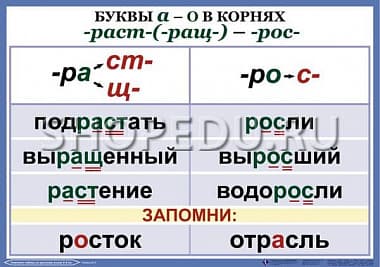 ОРФОГРАФИЯ 4-5 класс Издательство ОБРАЗОВАНИЕ