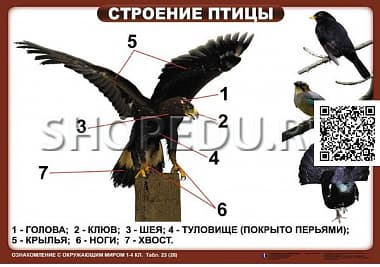 ОЗНАКОМЛЕНИЕ С ОКРУЖАЮЩИМ МИРОМ 1-4 класс Издательство ОБРАЗОВАНИЕ