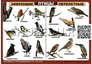 ОЗНАКОМЛЕНИЕ С ОКРУЖАЮЩИМ МИРОМ 1-4 класс Издательство ОБРАЗОВАНИЕ