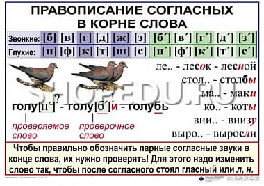 РУССКИЙ ЯЗЫК 1 класс Издательство ОБРАЗОВАНИЕ