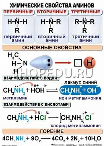 ОРГАНИЧЕСКАЯ ХИМИЯ. 10-11 класс Издательство ОБРАЗОВАНИЕ