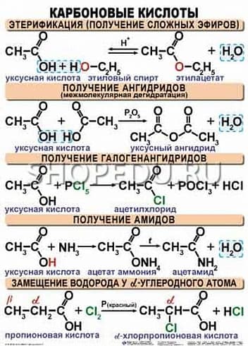 ОРГАНИЧЕСКАЯ ХИМИЯ. 10-11 класс Издательство ОБРАЗОВАНИЕ